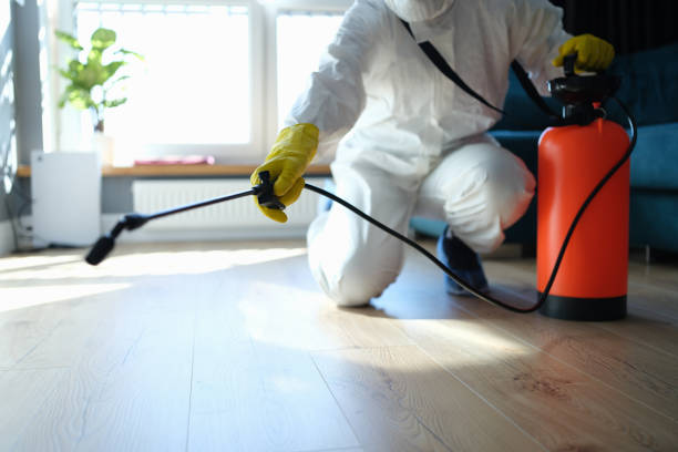 Reliable Odor Removal contractor in Centerville, IA by Trauma Clean Pros